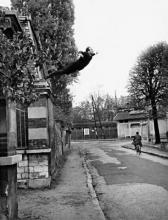 Un salto al vacío. Yves Klein y el nuevo arte Siglo XX